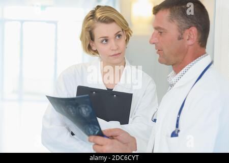 two doctors making a diagnosis Stock Photo