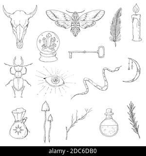 Magical occult elements. Vector set of witchcraft accessories. Isolated objects on white. Hand-drawn style. Stock Vector