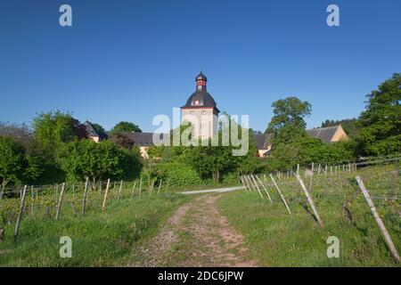 geography / travel, Germany, Hesse, Oestrich-Winkel, castle Vollrads in the Upper Middle Rhine Valley , Additional-Rights-Clearance-Info-Not-Available Stock Photo