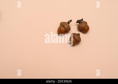 three acorns on a uniform background Stock Photo