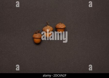 three acorns on a uniform background Stock Photo
