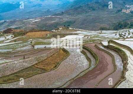 Rice terraces, Yunnan, China Stock Photo