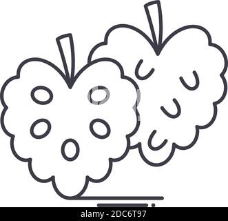Custard apple icon, linear isolated illustration, thin line vector, web design sign, outline concept symbol with editable stroke on white background. Stock Vector