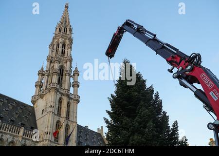 (201119) -- BRUSSELS, Nov. 19, 2020 (Xinhua) -- A Christmas tree is installed at the Grand Place of Brussels, Belgium, Nov. 19, 2020. This year's Christmas tree is 18m high, and will be decorated in the theme of 'renewal'. (Xinhua/Zheng Huansong) Stock Photo