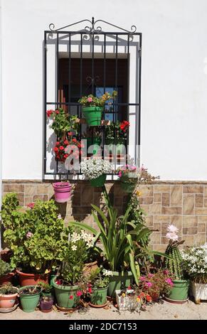 Frailes,Sierra Sur, Jaen, Andalusia Spain. Image from the streets of the village renowned for its healing waters,flower pots and picturesque buildings Stock Photo