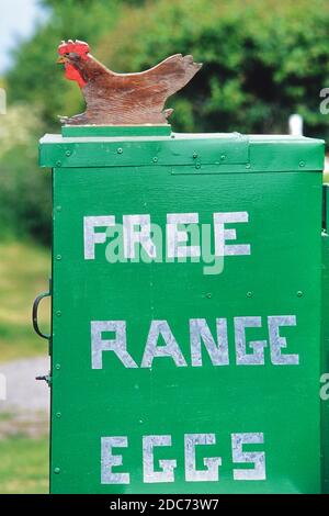 A sign advertising free range eggs at the side of a road. Lincolnshire, England. UK Stock Photo