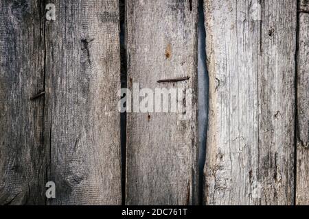 Texture of old wooden planks with lots of cracks, scratches, holes and rusty nails. Stock Photo