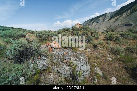 Arid landscape of Yellowstone National Park with sagebrush, mountains, grasses, on a bright sunny day in summer near West Yellowstone, Wyoming, USA. Stock Photo