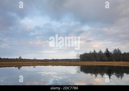 Clouds reflecting in water at a beautiful lake at nature reserve 'Heihorsten' in the Netherlands Stock Photo