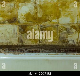Preparation for restoration. Old cast iron bathroom. The wall from which the ceramic tiles were removed. Stock Photo