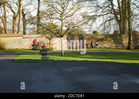 families enjoying the bright autumn sunshine on a very cold day in East Yorkshire, uk, gb Stock Photo