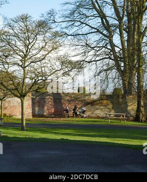 families enjoying the bright autumn sunshine on a very cold day in East Yorkshire, uk, gb Stock Photo