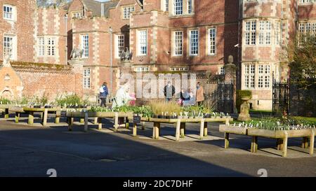 families enjoying the bright autumn sunshine on a very cold day in East Yorkshire, uk, gb Stock Photo