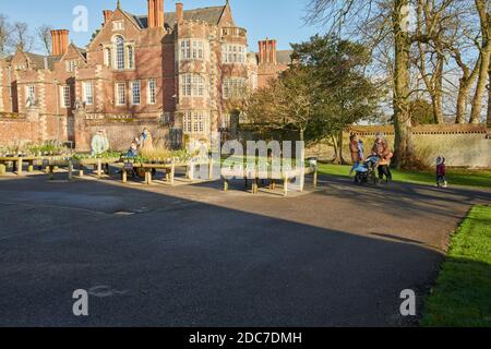 families enjoying the bright autumn sunshine on a very cold day in East Yorkshire, uk, gb Stock Photo