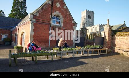 families enjoying the bright autumn sunshine on a very cold day in East Yorkshire, uk, gb Stock Photo