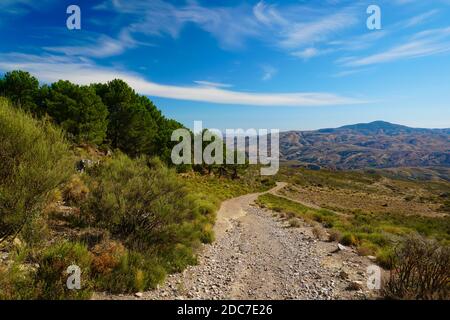 Footpath in the Alpujarra, Andalucía, with views of hills, blue sky and the edge of a pine forest. Stock Photo