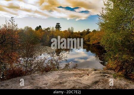 Autumn at Lake Wood, Uckfiled, East Sussex, England, Uk. Stock Photo