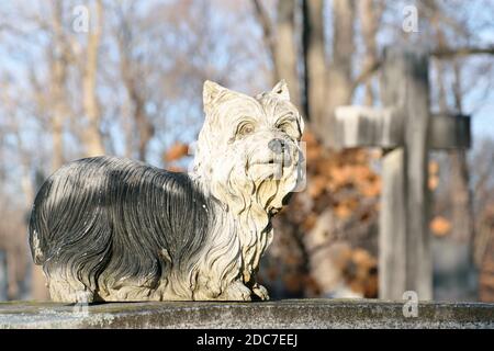 statue of a dog in cemetery Stock Photo