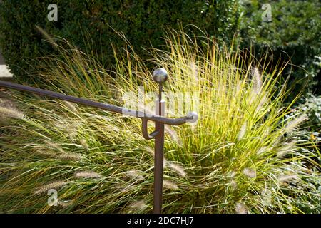A closeup of a rusty metallic fence near plants and trees on a sunny day Stock Photo