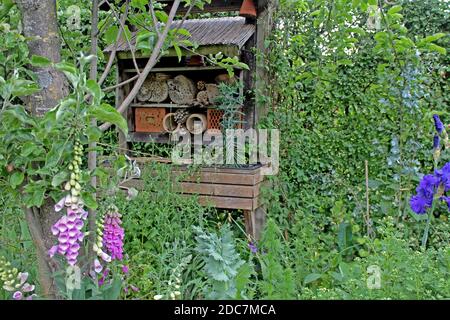 Insektenhotel, umgeben von verschiedenen Pflanzen wie Apfelbaum, Iris und Fingerhut, in einem privaten Garten in Nordrhein-Westfalen, Deutschland.