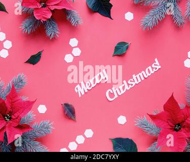 Poinsettia and fir twigs on pink background with white hexagons. Text Merry Christmas. Stock Photo