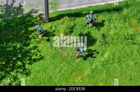 team of workers mow the grass with a gasoline brushcutters in the city, top view