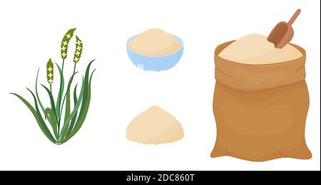 Psyllium cartoon grass and powder. Keto flour vector illustration. Organic healthy diet food. Isolated objects on white background. Stock Vector