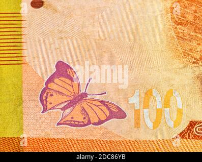 Fragment of 100 Sri Lankan rupee reverse used banknote closeup with copy space. Autumn leaf butterfly on the bill. Stock Photo