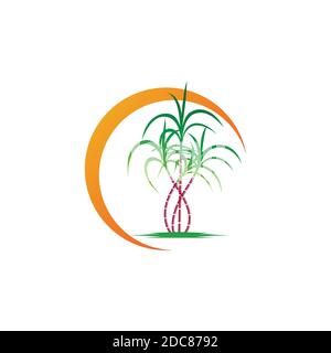 Sugarcane logo and symbol Stock Vector