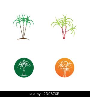 Sugarcane logo and symbol Stock Vector