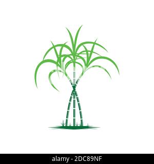 Sugarcane logo and symbol Stock Vector