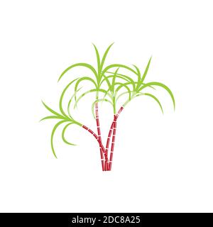 Sugarcane logo and symbol Stock Vector