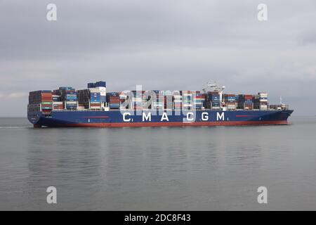 The container ship CMA CGM Bougainville will pass Cuxhaven on August 20 ...