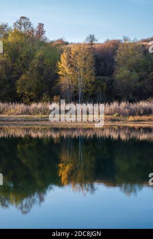 Sunlit, autumn colored silver birch trees reflected in calm, silver blue water surface of a lake Stock Photo