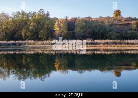 Sunlit, autumn colored silver birch trees reflected in calm, silver blue water surface of a lake Stock Photo