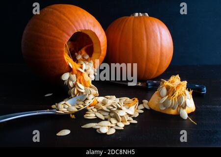 Seeding a Sugar Pie Pumpkin: Seeding two small pumpkins to make pumpkin pie Stock Photo