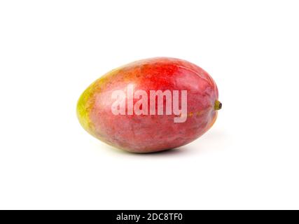 Mango in the skin is isolated on a white background. Stock Photo
