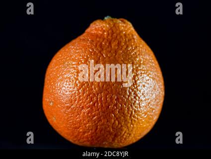 close-up view of orange fruit sitting on table with black background Stock Photo