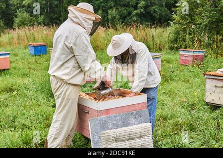 Perm, Russia - August 13, 2020: two beekeepers checking the hive using a smoker and removing the top cover Stock Photo