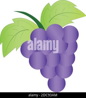 Bunch of grapes Stock Vector