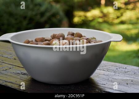 A white bowl full of ripe hazelnuts placed on a wooden table. Green background. Stock Photo