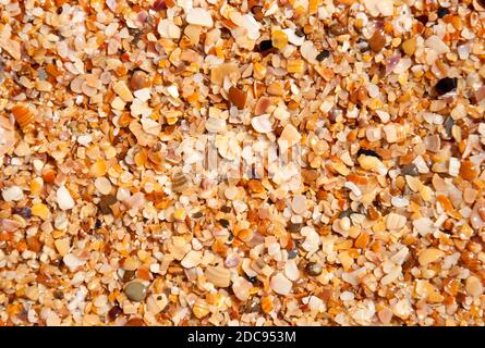 Wet sand background with seashells on the beach Stock Photo