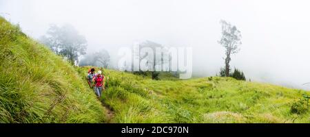 Panoramic Photo of Tourists Walking Through Misty Forest Scenery on the Mount Rinjani Trek, Indonesia, Asia Stock Photo