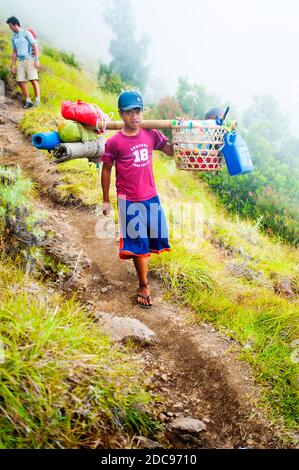 Young Porter Carrying Food and Camping Equipment on the Trek up Mount Rinjani, Lombok, Indonesia, Asia Stock Photo