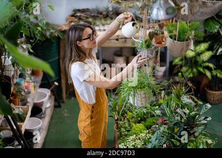 Woman gardener in orange overalls watering potted houseplant in greenhouse surrounded by plants and pots, using white watering can metal. Home gardeni Stock Photo