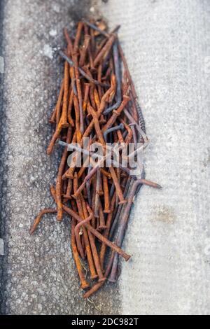 A handful of old bent rusty nails on a piece of slate. Stock Photo