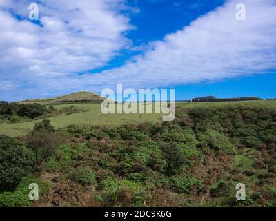 Qingtiangang Grassland at Yangmingshan National Park in Taipei, Taiwan. Stock Photo