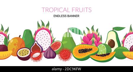 Endless seamless banner with exotic tropical fruits. Stock Vector
