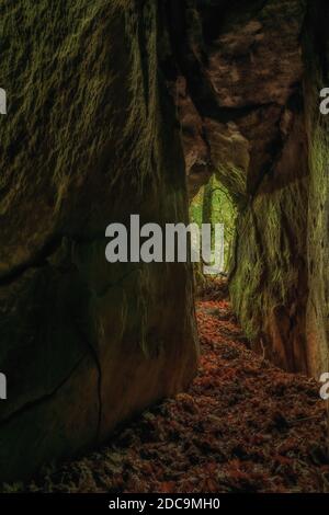 View out of the small dark cave in autumn forest with foliage on the ground Stock Photo