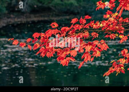 The Millers River in the Birch Hill Reservation in Royalston, Massachusetts Stock Photo